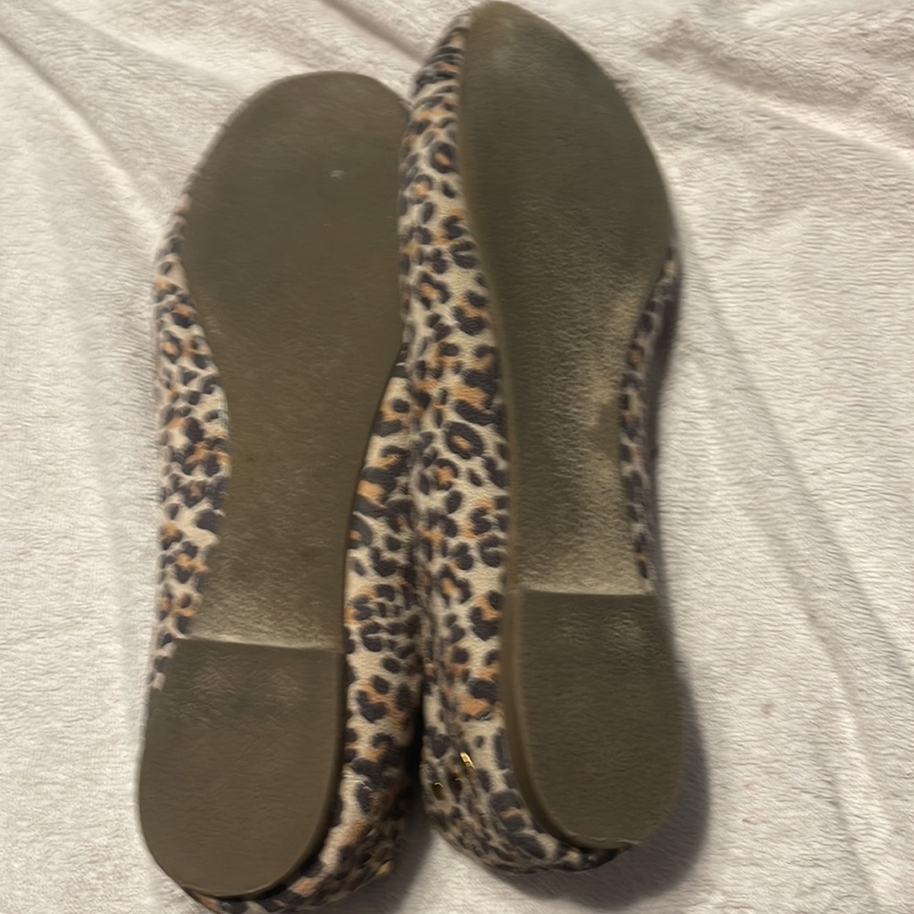Report leopard flats - Picture 3 of 4